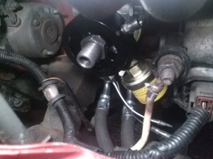 Mocal oil cooler adapter